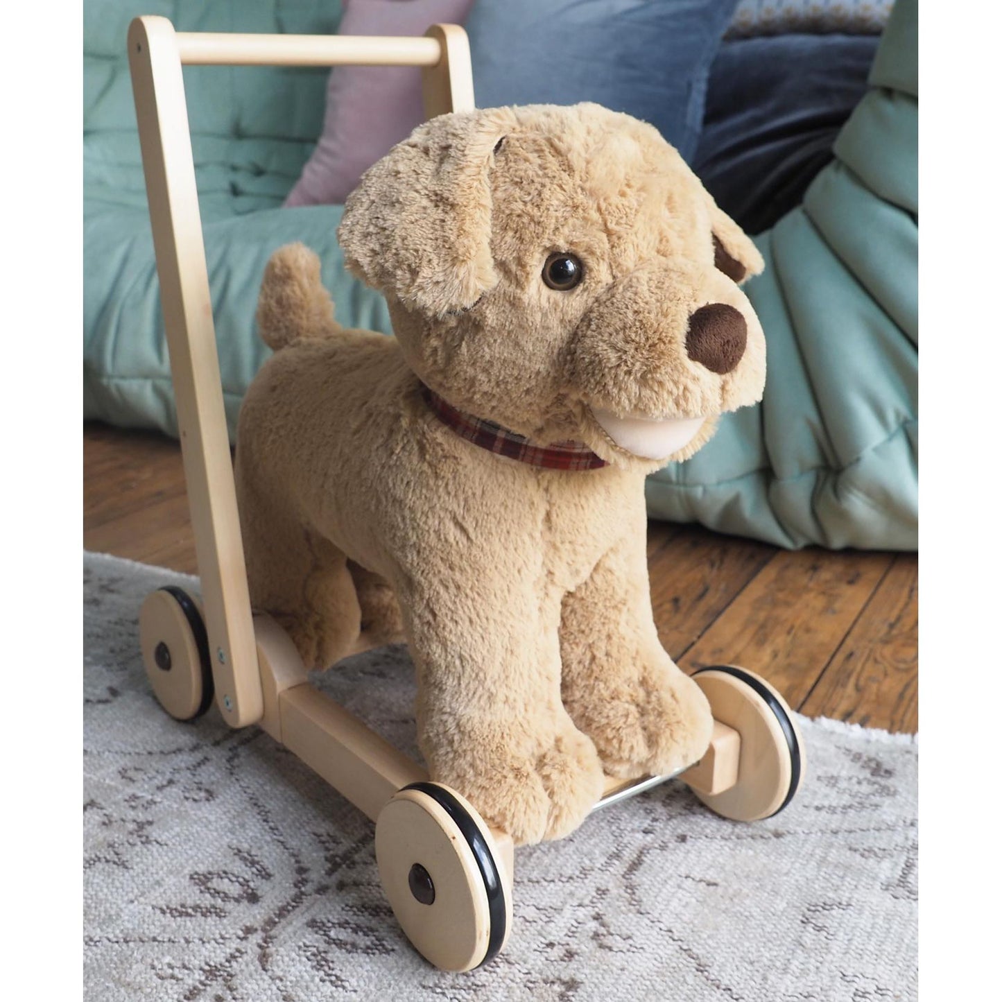 Little Bird Told Me Dexter Dog Push Along Baby Walker