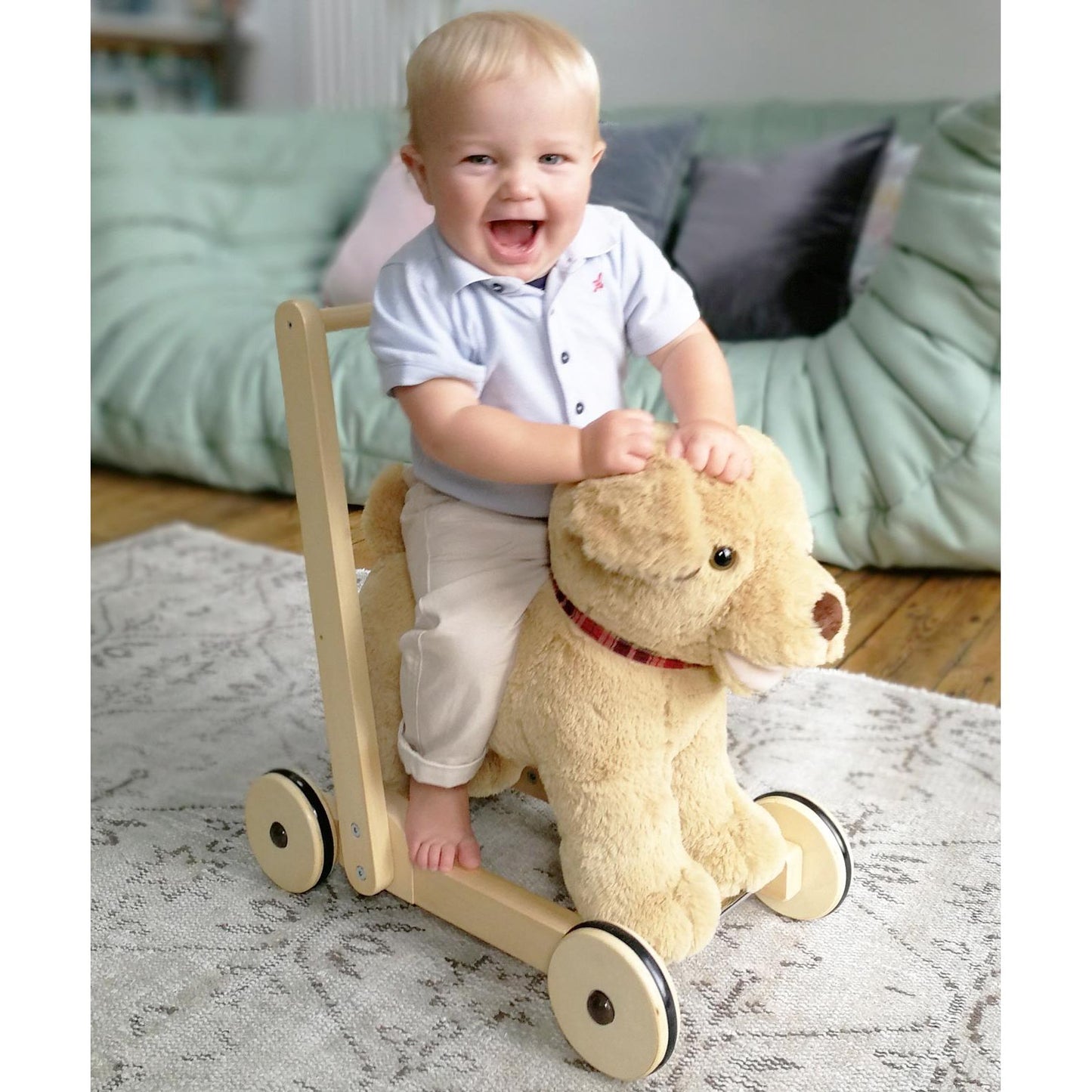 Little Bird Told Me Dexter Dog Push Along Baby Walker