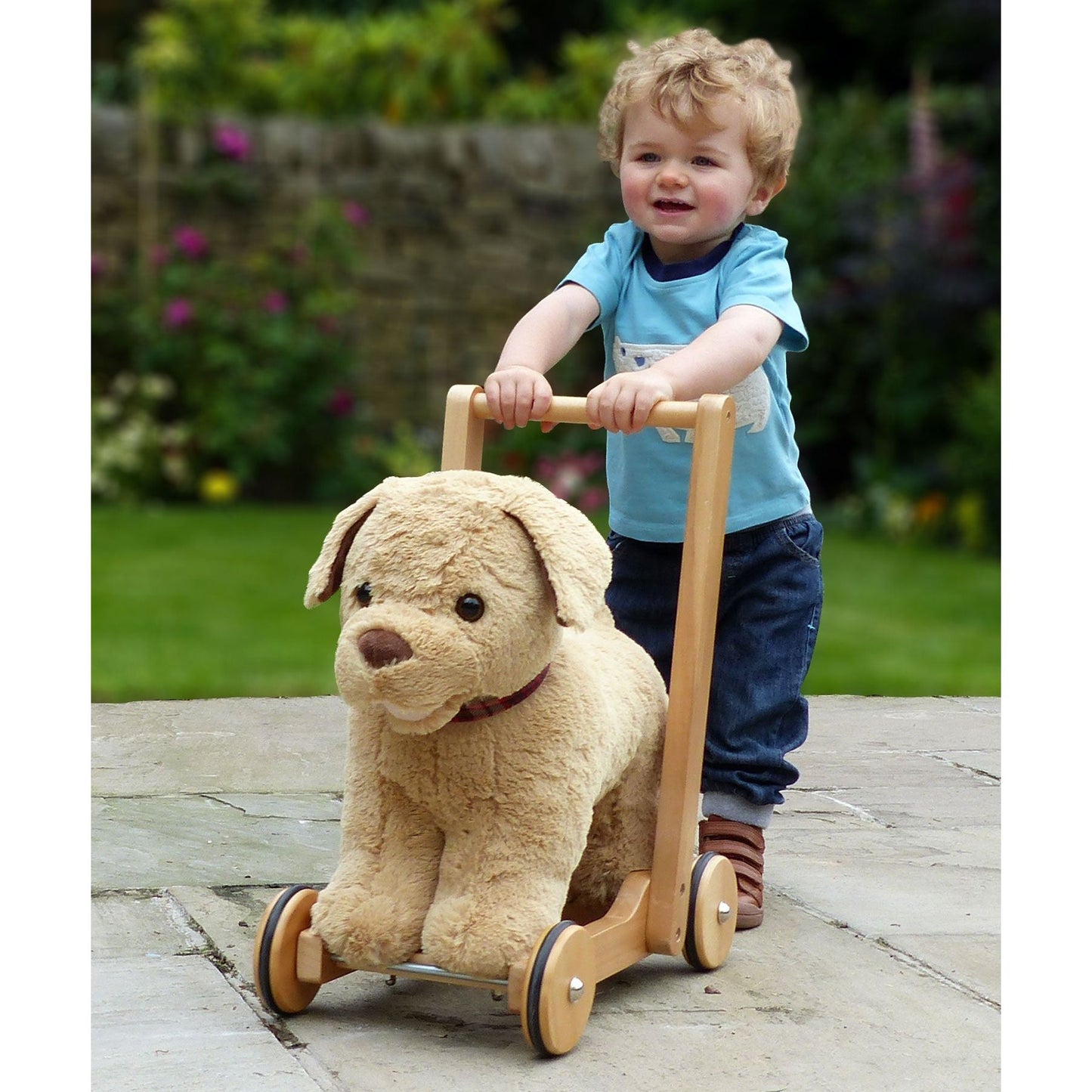 Little Bird Told Me Dexter Dog Push Along Baby Walker