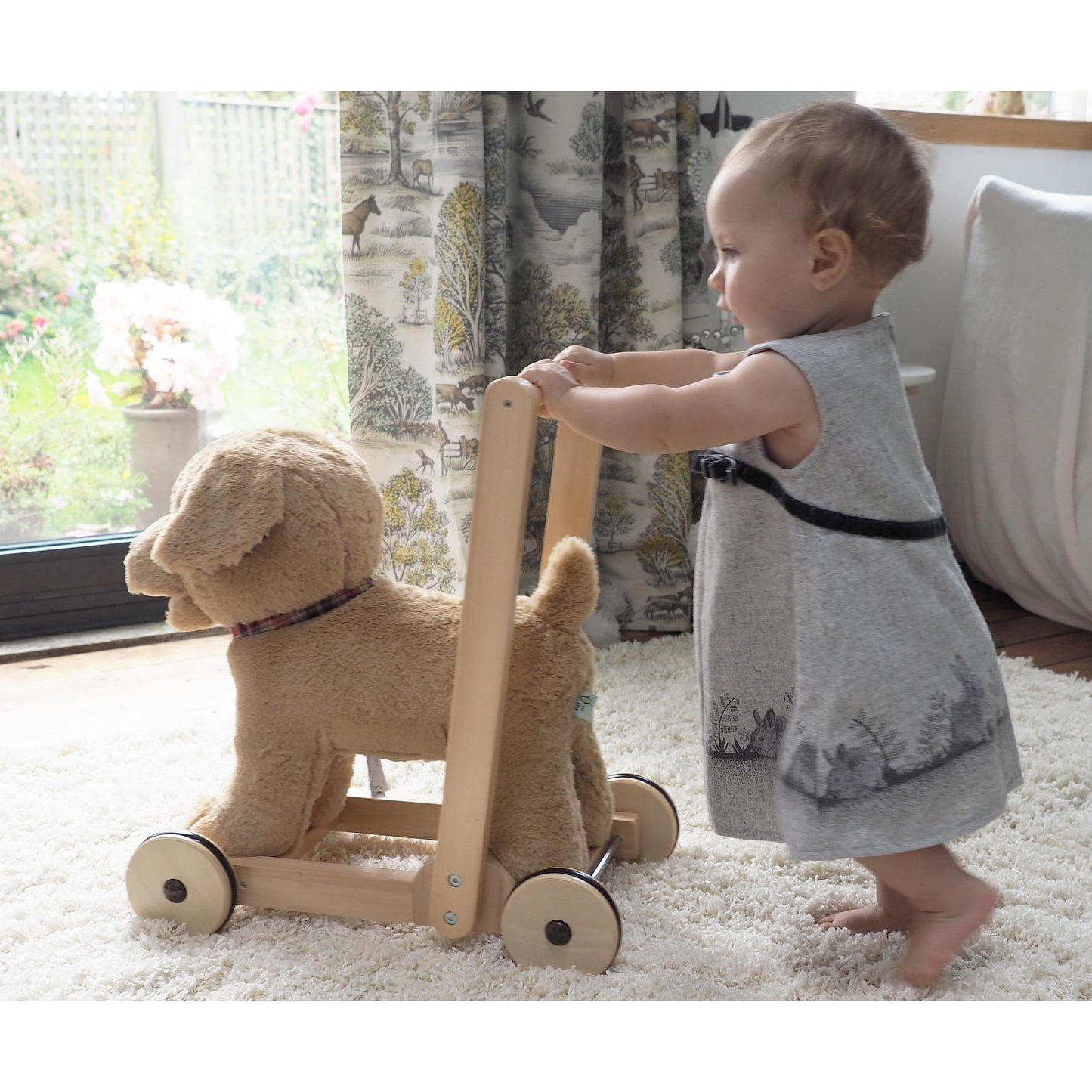 Little Bird Told Me Dexter Dog Push Along Baby Walker