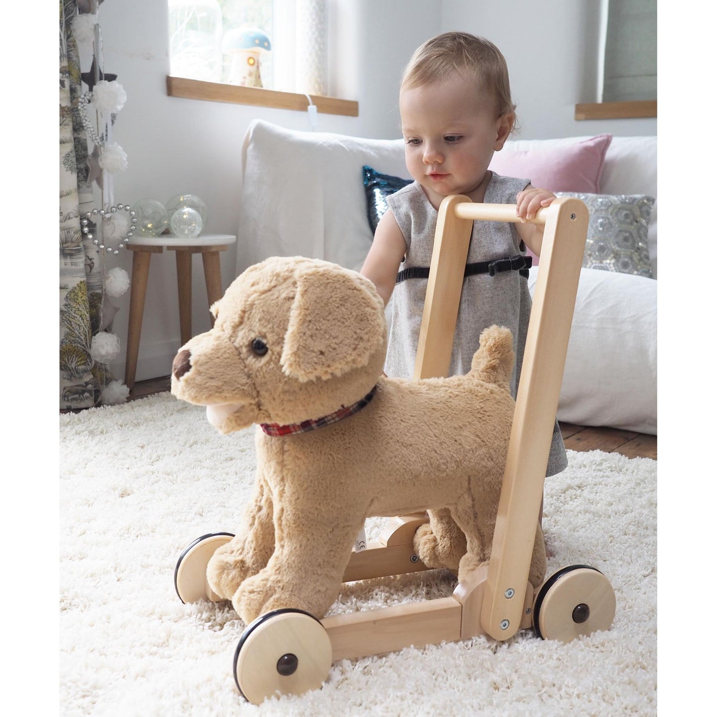 Little Bird Told Me Dexter Dog Push Along Baby Walker
