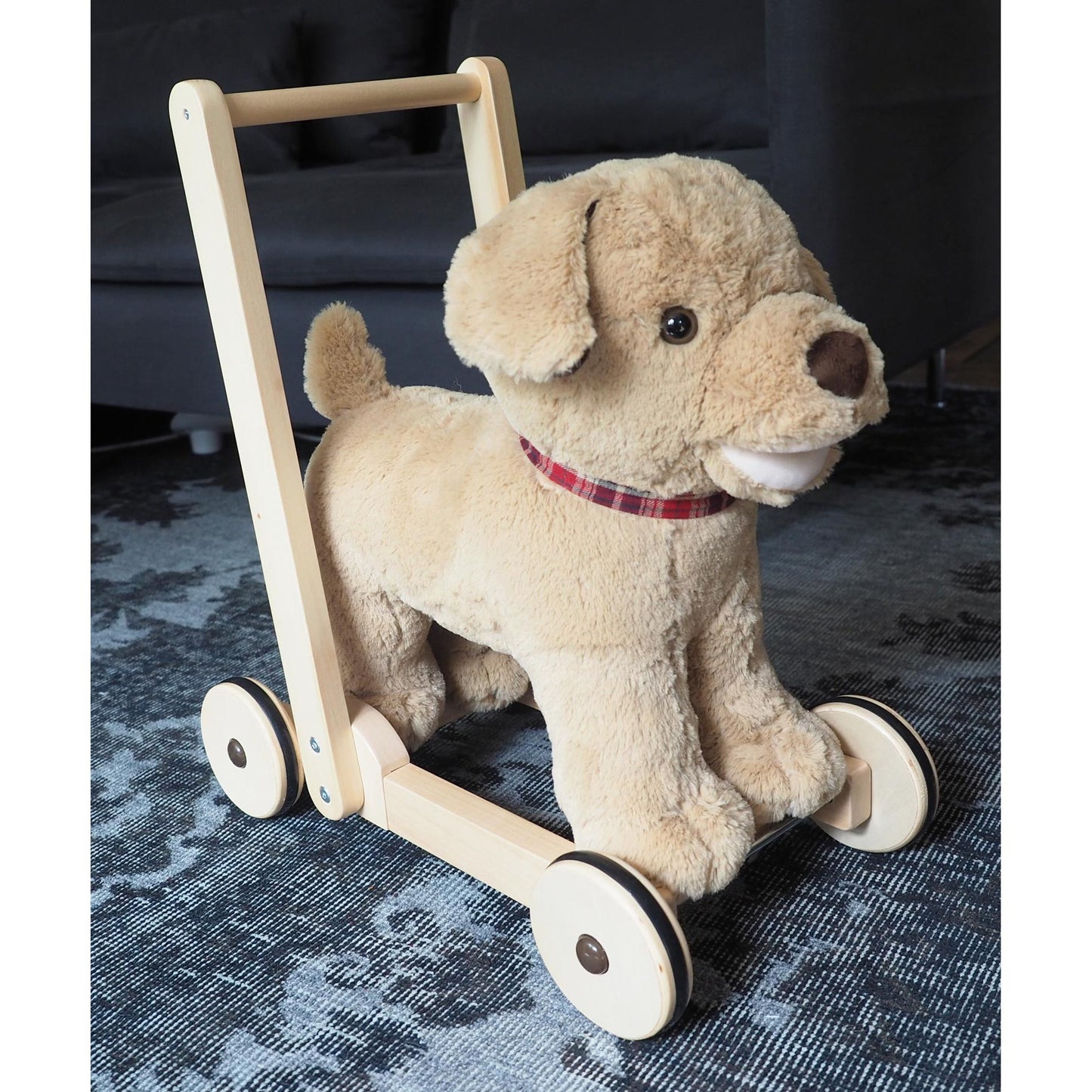 Little Bird Told Me Dexter Dog Push Along Baby Walker