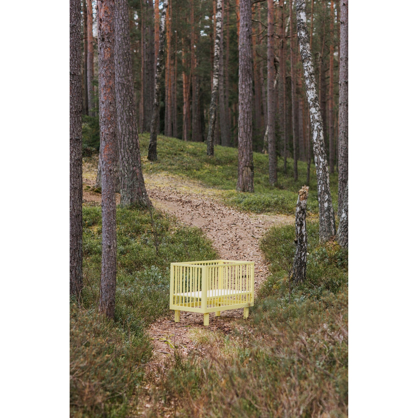 KARL & FRIC Nox cot 120 x 60cm yellow inc conversion rail