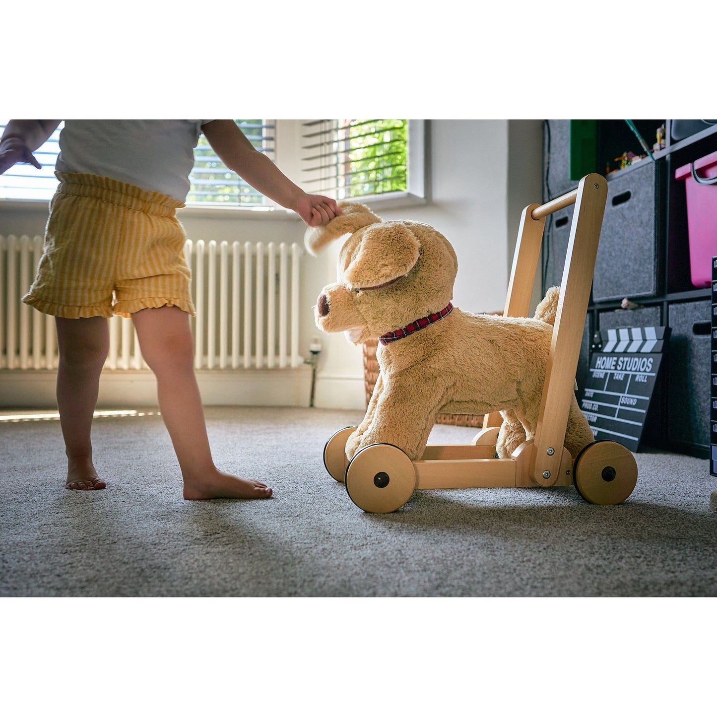 Little Bird Told Me Dexter Dog Push Along Baby Walker