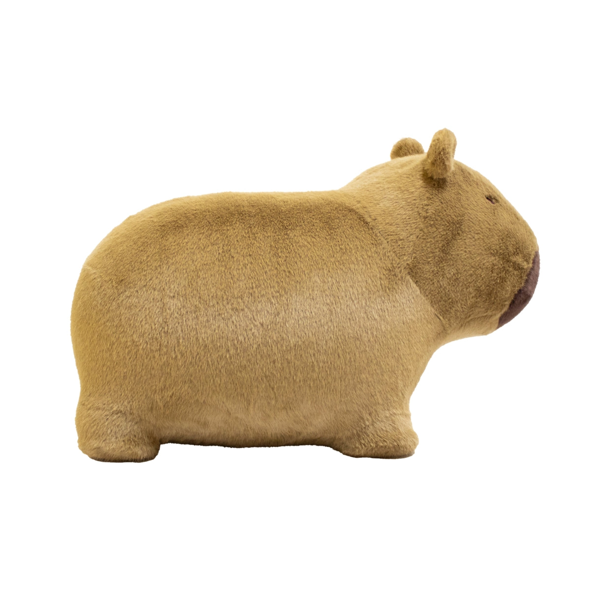 side view of Wild & Soft Soft Bouncy Capybara plush bouncing toy for children aged 3 years+ on white background