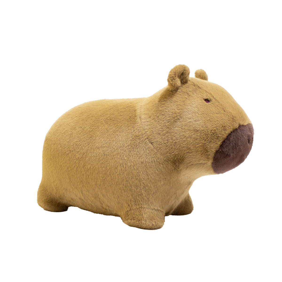 Wild & Soft Soft Bouncy Capybara plush bouncing toy for children on plain white background