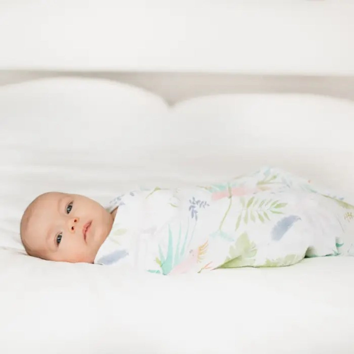 baby wrapped in aden + anais Tropicalia Essentials Cotton Muslin Swaddle Blanket with topical pattern and parrots on